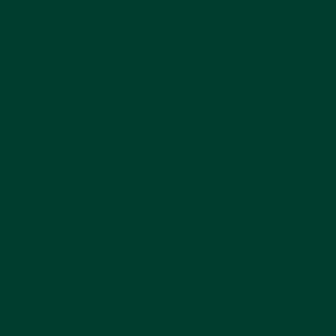 Краска для кожи зеленая 113 Mavi Step Express Color, 10 мл фото 56202